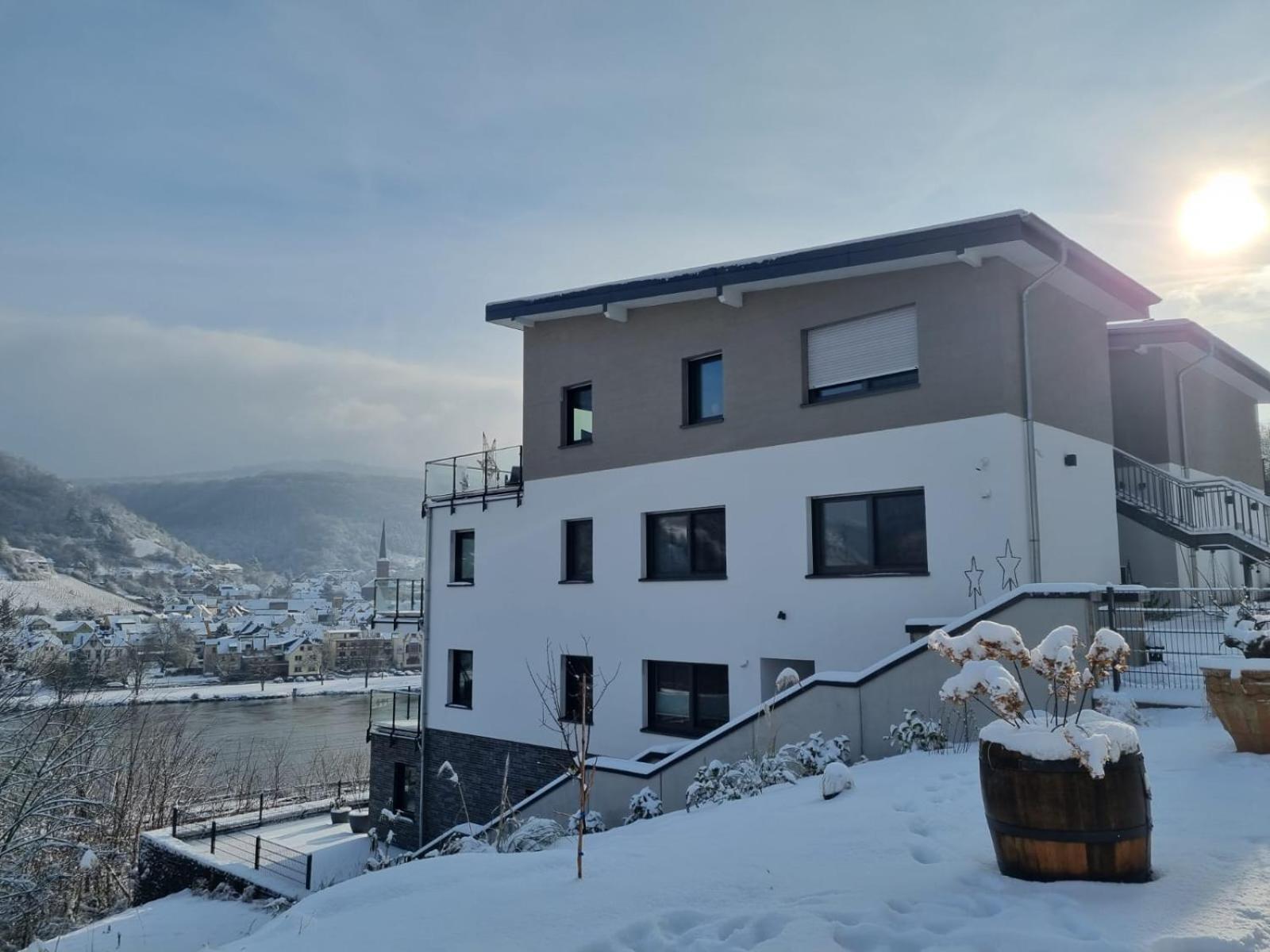 Mv Roemervilla, Lofts & Penthouses Mit Traumhaftem Moselpanoramablick Und Sauna Treis-Karden Exteriér fotografie